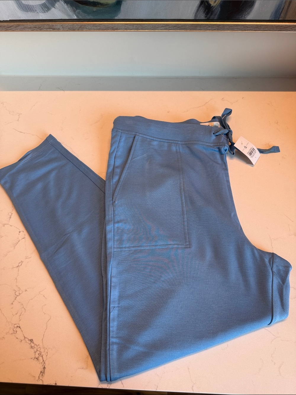Women’s  Drawstring Joggers in Dusty Blue